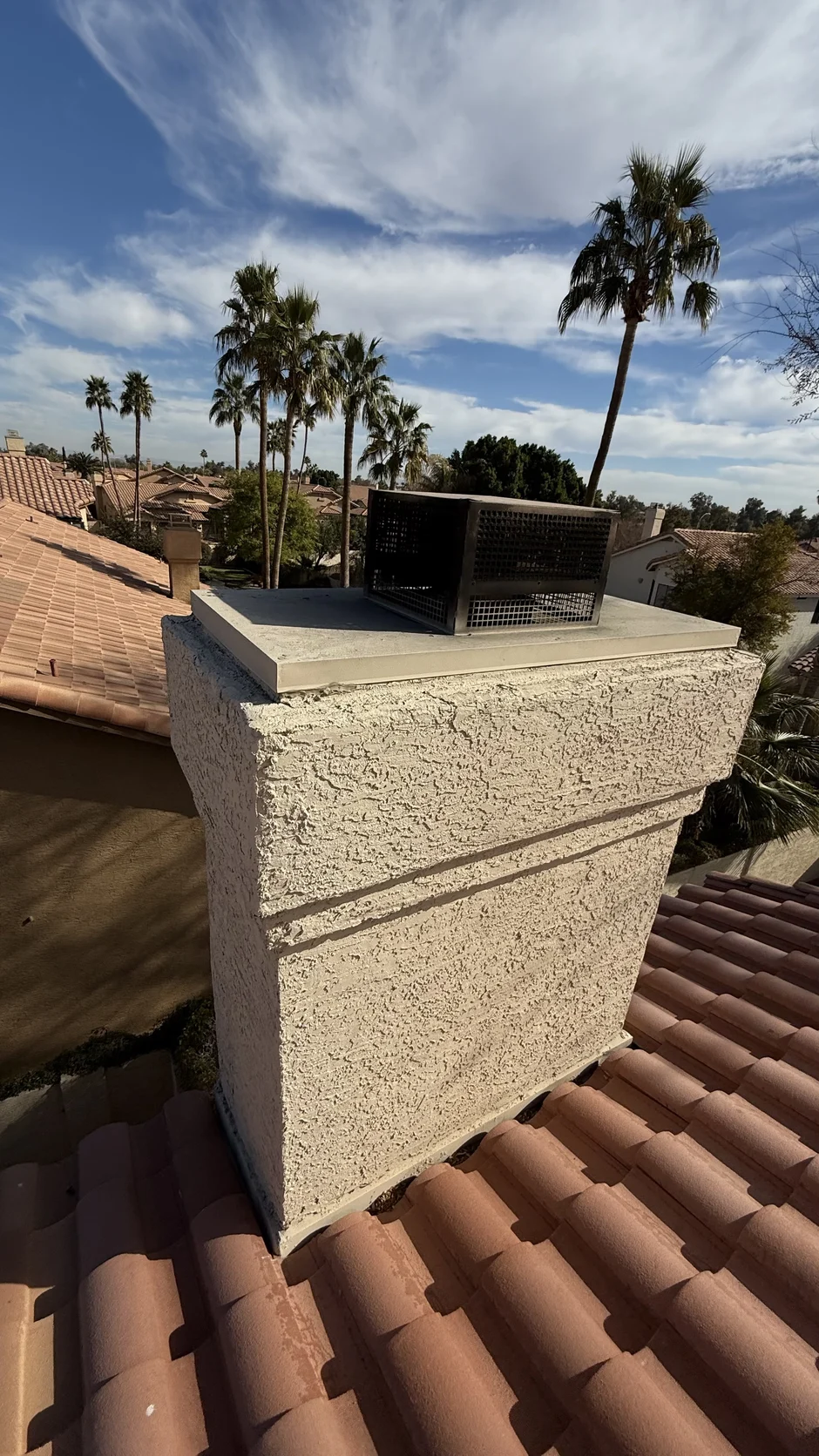 Newly fitted chimney cap with tall palm trees filling the background