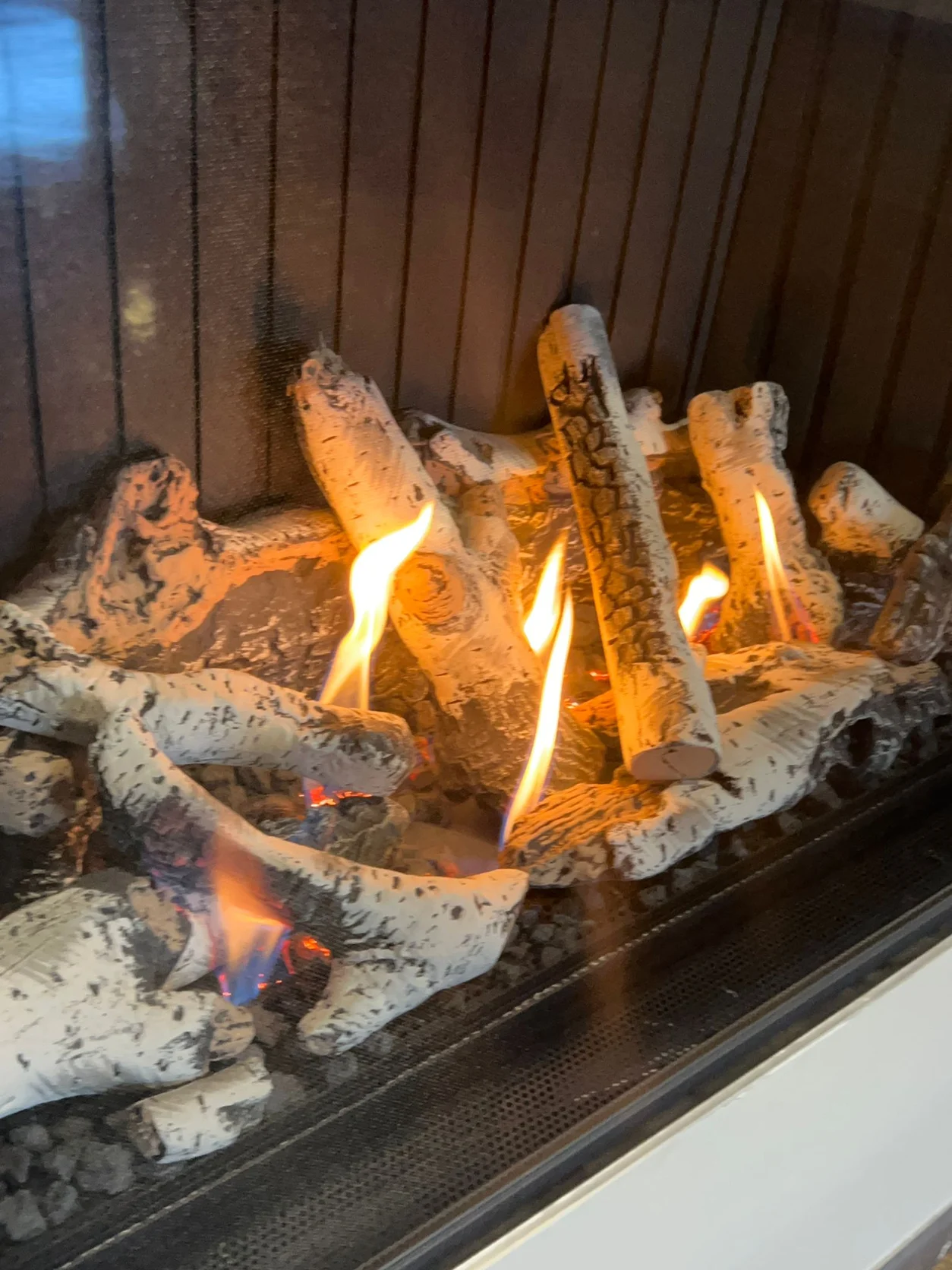 Lit gas log set in a firebox